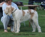 Filename=H-CheekyVimto.jpg
Filesize=61KiB
Dimensions=600x494
Date added=Sep 16, 2009 H-CheekyVimto.jpg