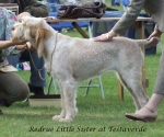 Filename=R-LittleSister.jpg
Filesize=62KiB
Dimensions=600x502
Date added=Sep 16, 2009 R-LittleSister.jpg
