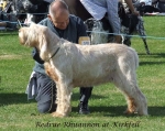 Filename=R-Rhuannon.jpg
Filesize=80KiB
Dimensions=600x477
Date added=Sep 16, 2009 R-Rhuannon.jpg