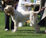 Filename=T-MaudEarl.jpg
Filesize=81KiB
Dimensions=600x501
Date added=Sep 16, 2009 T-MaudEarl.jpg