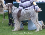 Filename=C-TedBaker.jpg
Filesize=65KiB
Dimensions=600x465
Date added=Sep 16, 2009 C-TedBaker.jpg