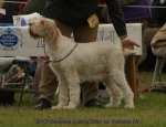 Filename=B-CuttingEdge.jpg
Filesize=47KiB
Dimensions=650x500
Date added=Sep 16, 2009 B-CuttingEdge.jpg