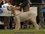 Filename=B-DreamOn.jpg
Filesize=48KiB
Dimensions=650x500
Date added=Sep 16, 2009 B-DreamOn.jpg