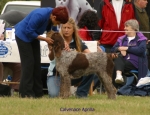 Filename=C-Aprilla.jpg
Filesize=56KiB
Dimensions=650x500
Date added=Sep 16, 2009 C-Aprilla.jpg