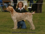 Filename=G-MagicMoments.jpg
Filesize=55KiB
Dimensions=650x500
Date added=Sep 16, 2009 G-MagicMoments.jpg
