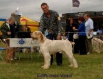 Filename=G-MagicWizard.jpg
Filesize=70KiB
Dimensions=650x500
Date added=Sep 16, 2009 G-MagicWizard.jpg