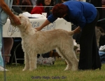 Filename=G-MagicsGaietyGirl.jpg
Filesize=52KiB
Dimensions=650x500
Date added=Sep 16, 2009 G-MagicsGaietyGirl.jpg