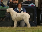 Filename=G-Shimmer.jpg
Filesize=44KiB
Dimensions=650x500
Date added=Sep 16, 2009 G-Shimmer.jpg