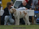 Filename=H-CheekyVimto.jpg
Filesize=44KiB
Dimensions=650x500
Date added=Sep 16, 2009 H-CheekyVimto.jpg