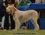 Filename=H-DonTLookEthel.jpg
Filesize=48KiB
Dimensions=650x500
Date added=Sep 16, 2009 H-DonTLookEthel.jpg