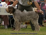 Filename=H-Ristoretto.jpg
Filesize=66KiB
Dimensions=650x500
Date added=Sep 16, 2009 H-Ristoretto.jpg