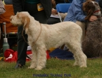 Filename=H-TickledPink.jpg
Filesize=59KiB
Dimensions=650x500
Date added=Sep 16, 2009 H-TickledPink.jpg