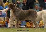 Filename=I-Cali.jpg
Filesize=61KiB
Dimensions=650x450
Date added=Sep 16, 2009 I-Cali.jpg