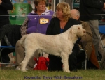 Filename=K-Trevy.jpg
Filesize=49KiB
Dimensions=650x500
Date added=Sep 16, 2009 K-Trevy.jpg