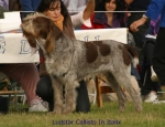 Filename=L-Calisto.jpg
Filesize=54KiB
Dimensions=650x500
Date added=Sep 16, 2009 L-Calisto.jpg