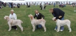 Filename=LB.JPG
Filesize=50KiB
Dimensions=600x286
Date added=Sep 16, 2009 LB.JPG