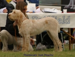 Filename=M-JustPeachy.jpg
Filesize=51KiB
Dimensions=650x500
Date added=Sep 16, 2009 M-JustPeachy.jpg