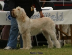 Filename=N-Tara.jpg
Filesize=43KiB
Dimensions=650x500
Date added=Sep 16, 2009 N-Tara.jpg