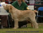 Filename=O-BreathOfHope.jpg
Filesize=47KiB
Dimensions=650x500
Date added=Sep 16, 2009 O-BreathOfHope.jpg