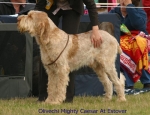 Filename=O-MightyCaesar.jpg
Filesize=61KiB
Dimensions=650x500
Date added=Sep 16, 2009 O-MightyCaesar.jpg