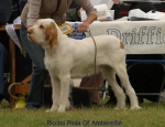 Filename=R-Piola.jpg
Filesize=50KiB
Dimensions=650x500
Date added=Sep 16, 2009 R-Piola.jpg