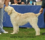 Filename=G-MagicGaietyGirl.jpg
Filesize=60KiB
Dimensions=600x538
Date added=Sep 16, 2009 G-MagicGaietyGirl.jpg