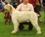 Filename=G-MagicWizard.jpg
Filesize=61KiB
Dimensions=600x507
Date added=Sep 16, 2009 G-MagicWizard.jpg