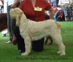 Filename=W-RubyTuesday.jpg
Filesize=60KiB
Dimensions=600x508
Date added=Sep 16, 2009 W-RubyTuesday.jpg