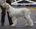 Filename=B-CuttingEdge.JPG
Filesize=45KiB
Dimensions=600x476
Date added=Sep 16, 2009 B-CuttingEdge.JPG