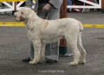 Filename=C-GingerSnap.jpg
Filesize=67KiB
Dimensions=800x580
Date added=Sep 16, 2009 C-GingerSnap.jpg