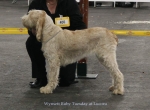 Filename=W-RubyTuesday.jpg
Filesize=56KiB
Dimensions=800x591
Date added=Sep 16, 2009 W-RubyTuesday.jpg