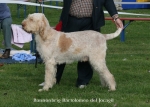 Filename=B-Bartolomeo.jpg
Filesize=125KiB
Dimensions=700x500
Date added=Sep 16, 2009 B-Bartolomeo.jpg