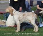Filename=B-CuttingADash.jpg
Filesize=68KiB
Dimensions=600x506
Date added=Sep 16, 2009 B-CuttingADash.jpg