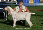 Filename=B-LikelyLad.jpg
Filesize=60KiB
Dimensions=700x500
Date added=Sep 16, 2009 B-LikelyLad.jpg
