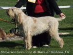 Dateiname=M-CavalloneDiMare.jpg
Dateigröße=65KB
Abmessungen: 600x454
hinzugefügt am: 16. September 2009 M-CavalloneDiMare.jpg