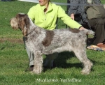 Dateiname=M-Valtellina.jpg
Dateigröße=83KB
Abmessungen: 600x489
hinzugefügt am: 16. September 2009 M-Valtellina.jpg
