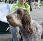 Dateiname=M-Valtellina2b.JPG
Dateigröße=75KB
Abmessungen: 600x571
hinzugefügt am: 16. September 2009 M-Valtellina2b.JPG
