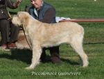 Filename=P-Guinevere.jpg
Filesize=68KiB
Dimensions=600x462
Date added=Sep 16, 2009 P-Guinevere.jpg