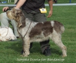 Filename=S-Izzeta.jpg
Filesize=66KiB
Dimensions=600x497
Date added=Sep 16, 2009 S-Izzeta.jpg