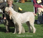 Filename=T-Balena.jpg
Filesize=79KiB
Dimensions=600x524
Date added=Sep 16, 2009 T-Balena.jpg