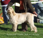 Filename=T-DoubleJack.jpg
Filesize=90KiB
Dimensions=600x537
Date added=Sep 16, 2009 T-DoubleJack.jpg