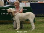 Filename=A-Alana.jpg
Filesize=61KiB
Dimensions=650x500
Date added=Sep 16, 2009 A-Alana.jpg