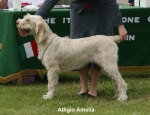 Filename=A-Amelia.jpg
Filesize=59KiB
Dimensions=650x500
Date added=Sep 16, 2009 A-Amelia.jpg
