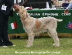 Filename=B-Bartolomeo.jpg
Filesize=66KiB
Dimensions=650x500
Date added=Sep 16, 2009 B-Bartolomeo.jpg
