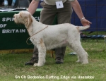 Filename=B-CuttingEdge.jpg
Filesize=61KiB
Dimensions=650x500
Date added=Sep 16, 2009 B-CuttingEdge.jpg
