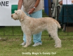 Filename=G-MagicGaietyGirl.jpg
Filesize=62KiB
Dimensions=650x500
Date added=Sep 16, 2009 G-MagicGaietyGirl.jpg