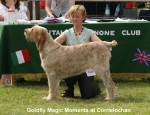 Filename=G-MagicMoments.jpg
Filesize=70KiB
Dimensions=650x500
Date added=Sep 16, 2009 G-MagicMoments.jpg