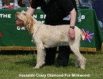 Filename=H-CrazyDiamond.jpg
Filesize=63KiB
Dimensions=650x500
Date added=Sep 16, 2009 H-CrazyDiamond.jpg