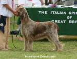 Filename=I-Dessinzano.jpg
Filesize=68KiB
Dimensions=650x500
Date added=Sep 16, 2009 I-Dessinzano.jpg