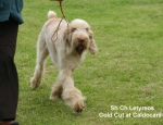 Filename=L-ColdCut-3.jpg
Filesize=60KiB
Dimensions=650x500
Date added=Sep 16, 2009 L-ColdCut-3.jpg